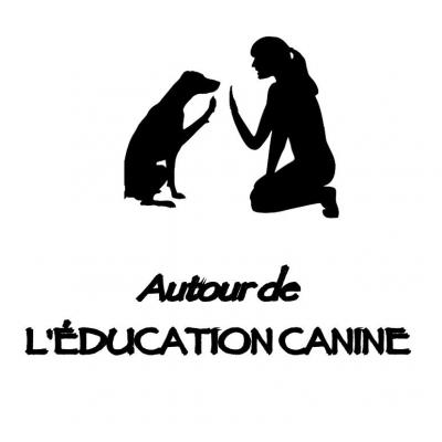 Education canine 5